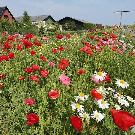Bed & Breakfast Bakkelund Bed & Breakfast+ Borre